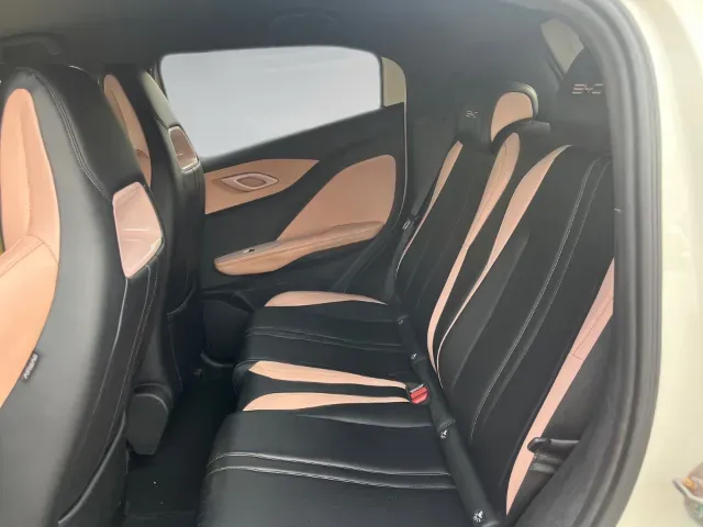 BYD Dolphin Mini - Imagem 9