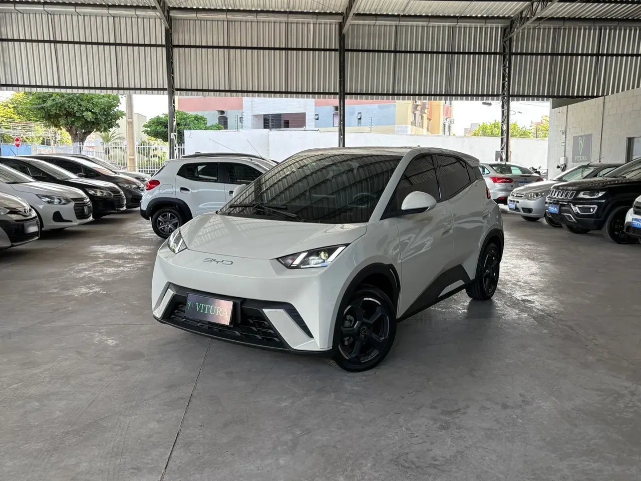 BYD Dolphin Mini - Imagem 3