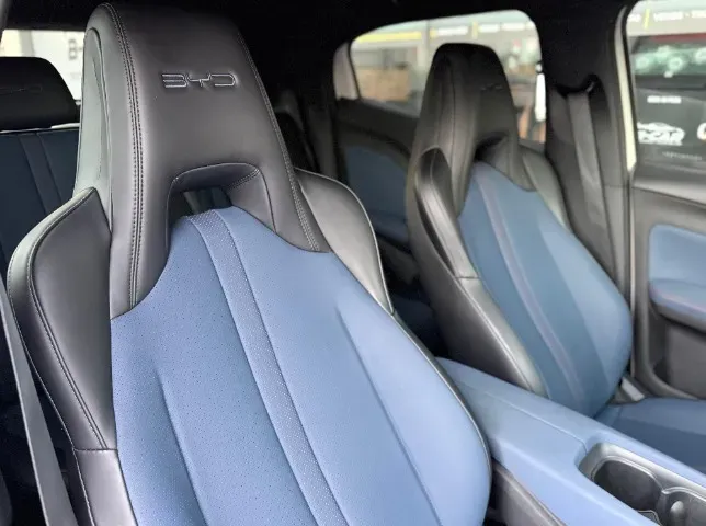 BYD Dolphin Mini - Imagem 11