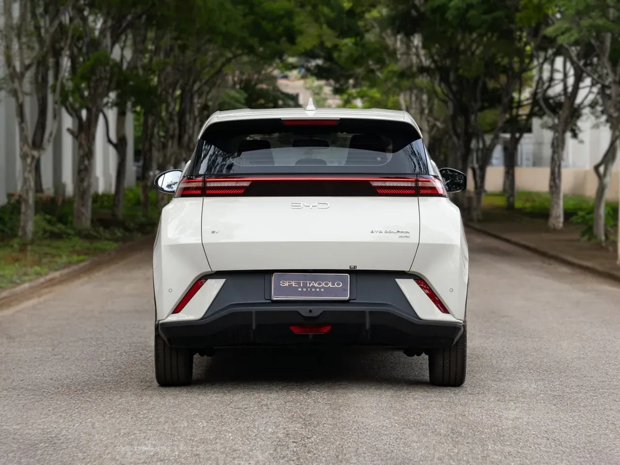 BYD Dolphin Mini - Imagem 4