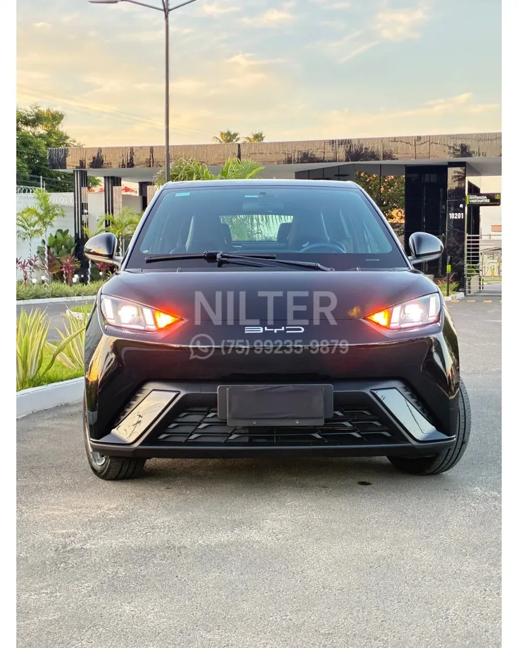 BYD Dolphin Mini - Imagem 6