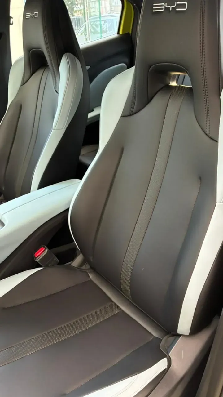 BYD Dolphin Mini - Imagem 6