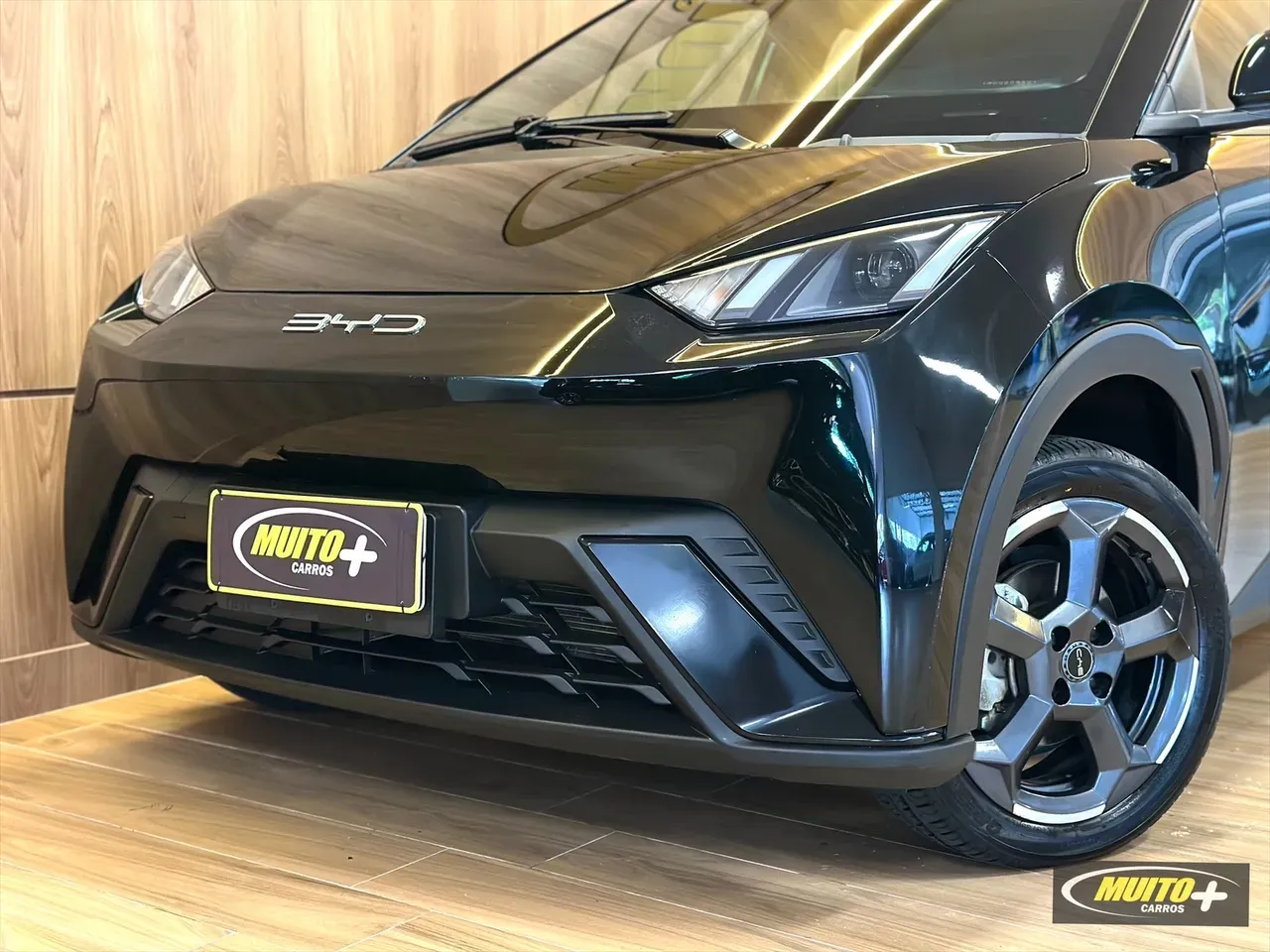 BYD Dolphin Mini - Imagem 15