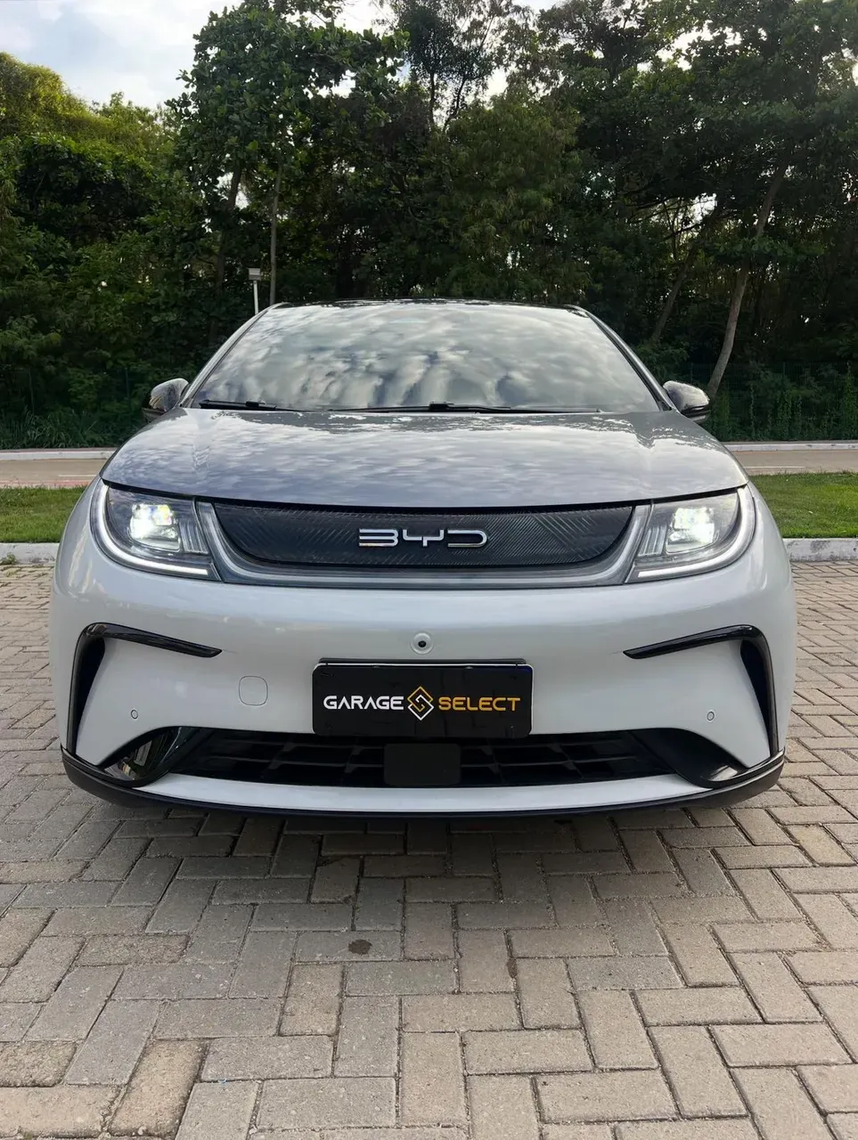 BYD Dolphin Plus - Imagem 2