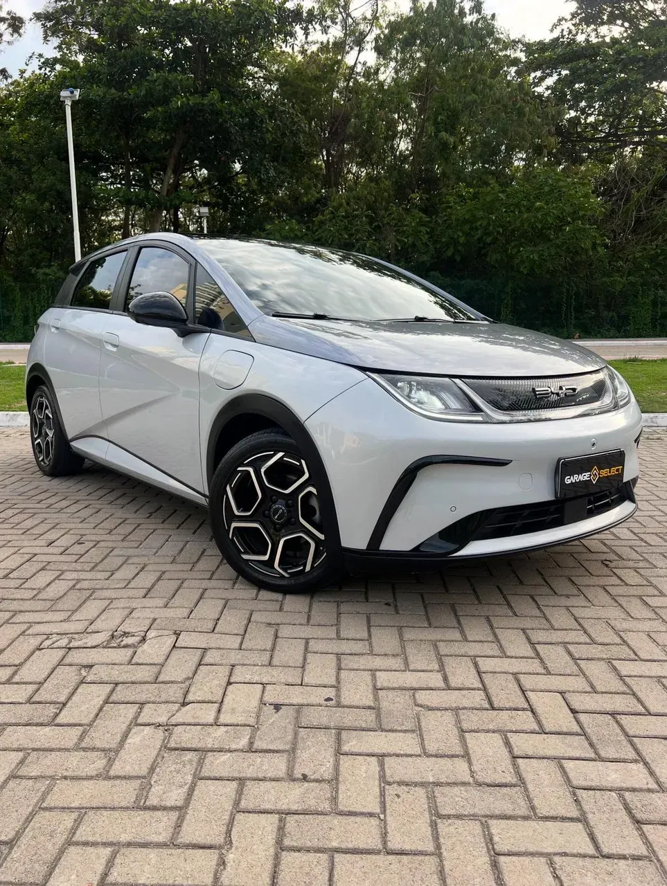 BYD Dolphin Plus - Imagem 4