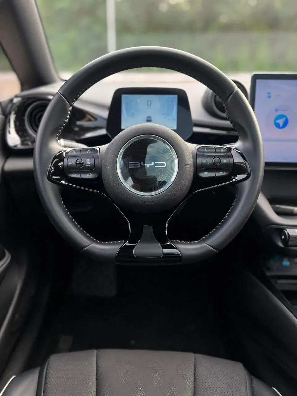 BYD Dolphin Plus - Imagem 12