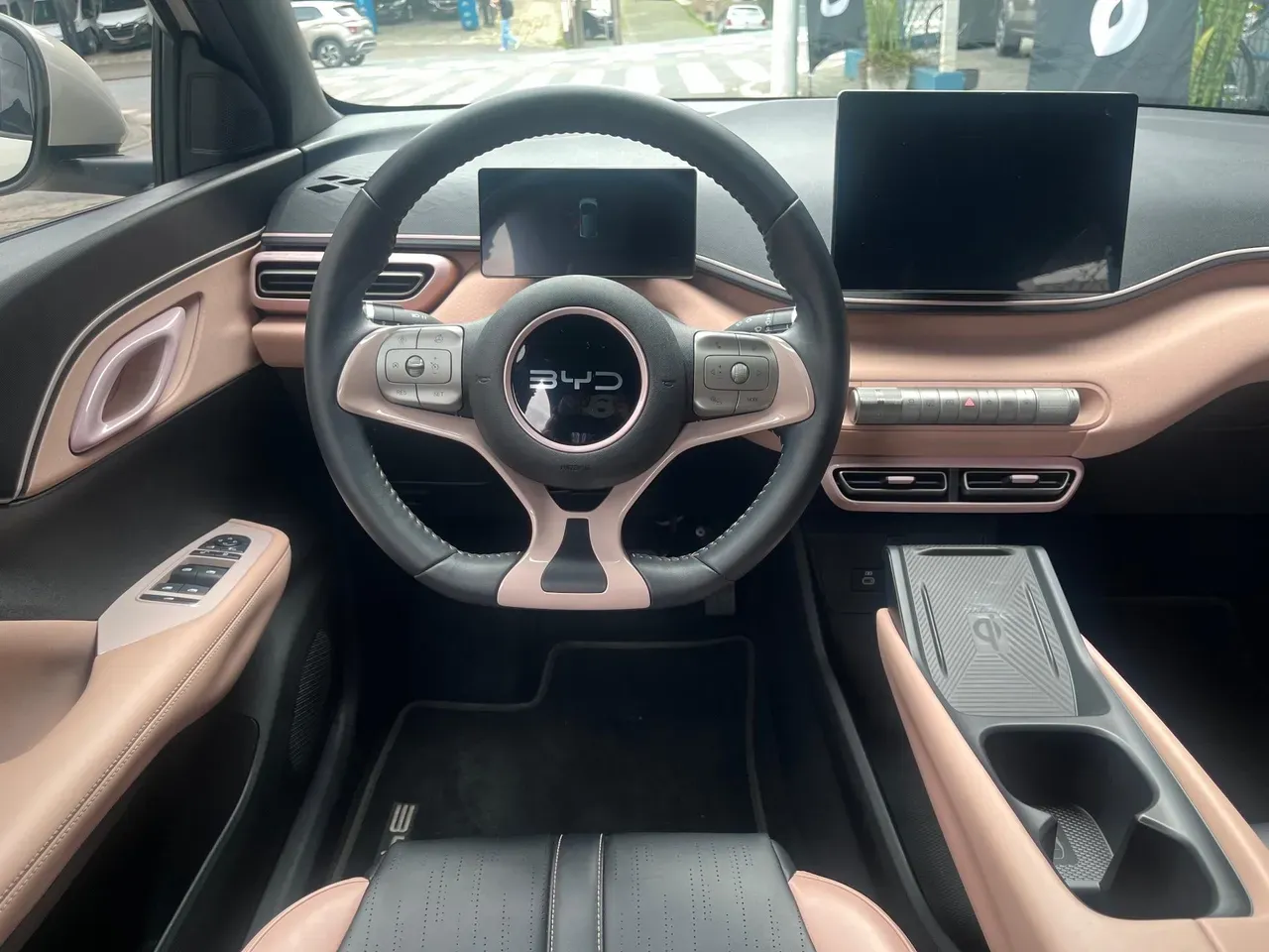 BYD Dolphin Mini - Imagem 14