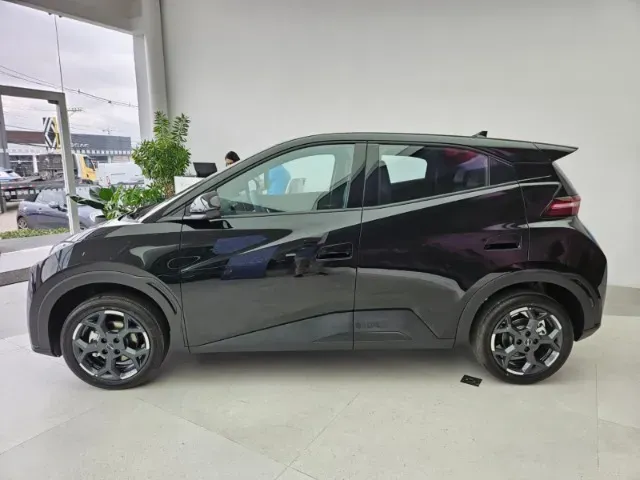 BYD Dolphin Mini - Imagem 2