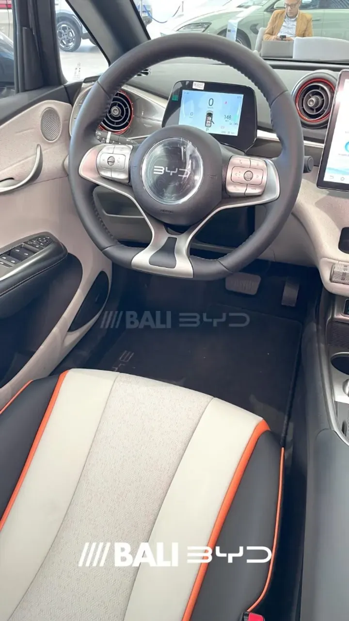 BYD Dolphin Mini - Imagem 6