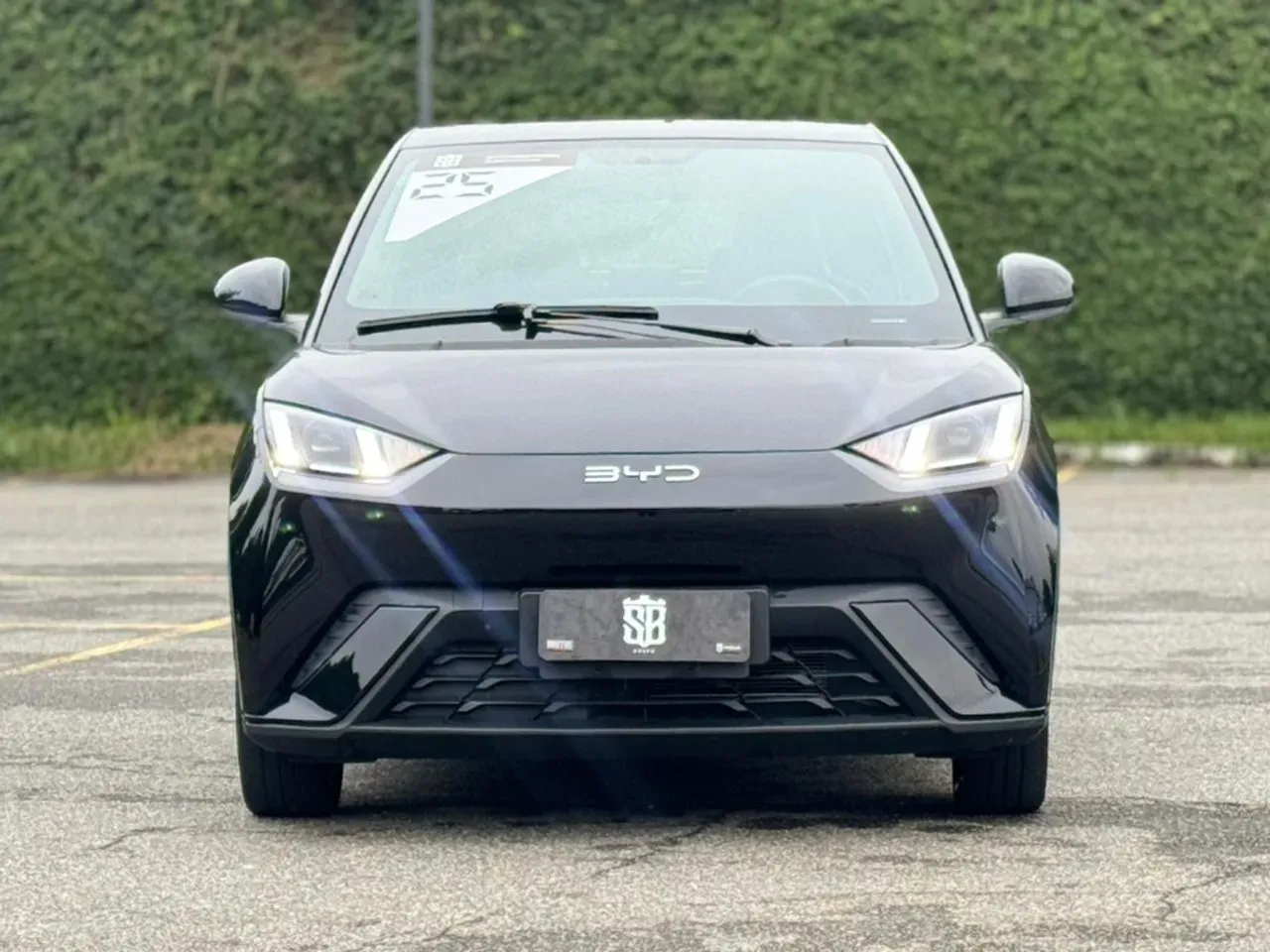 BYD Dolphin Mini - Imagem 2