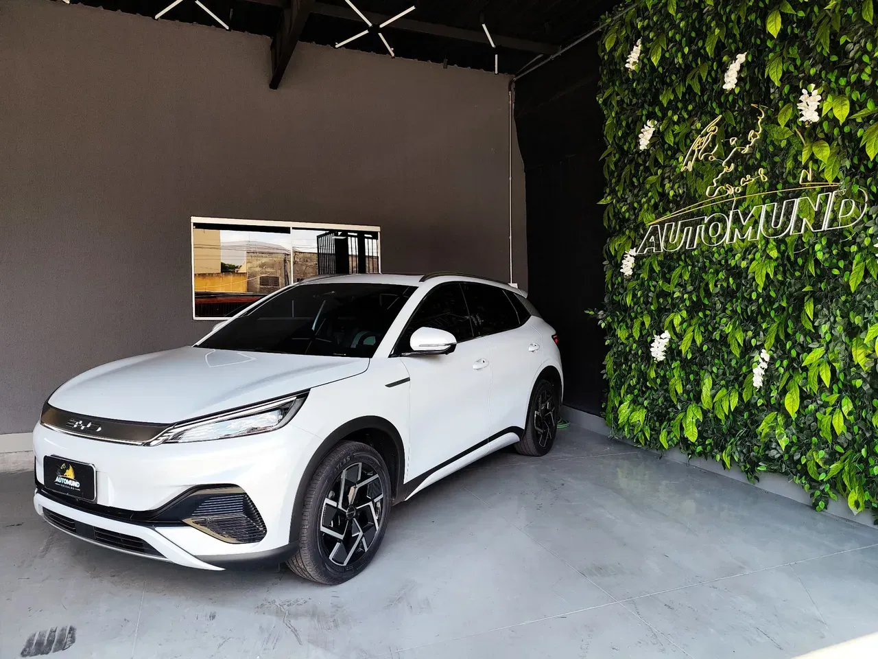 BYD Yuan Plus - Imagem 2