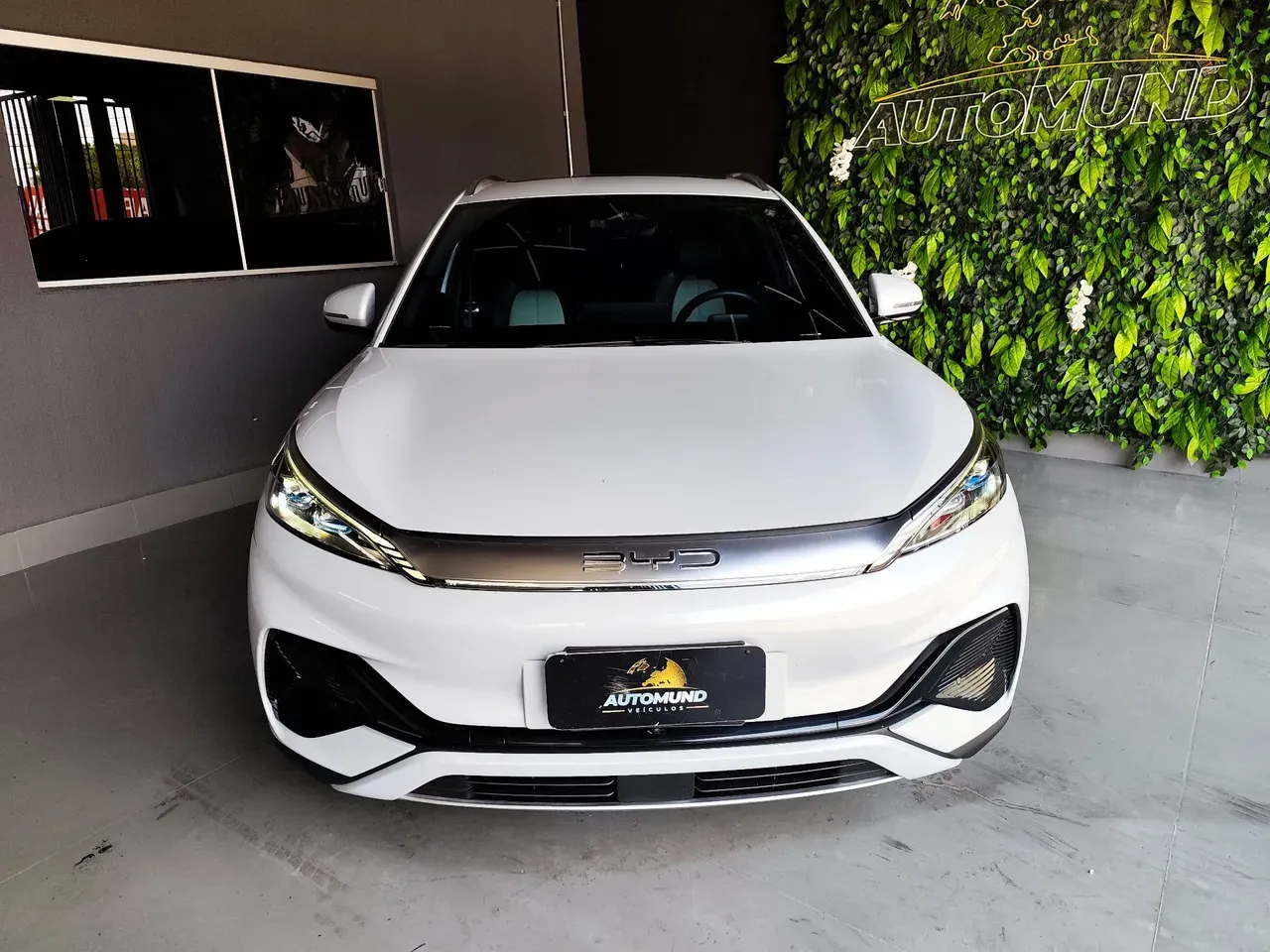 BYD Yuan Plus - Imagem 3