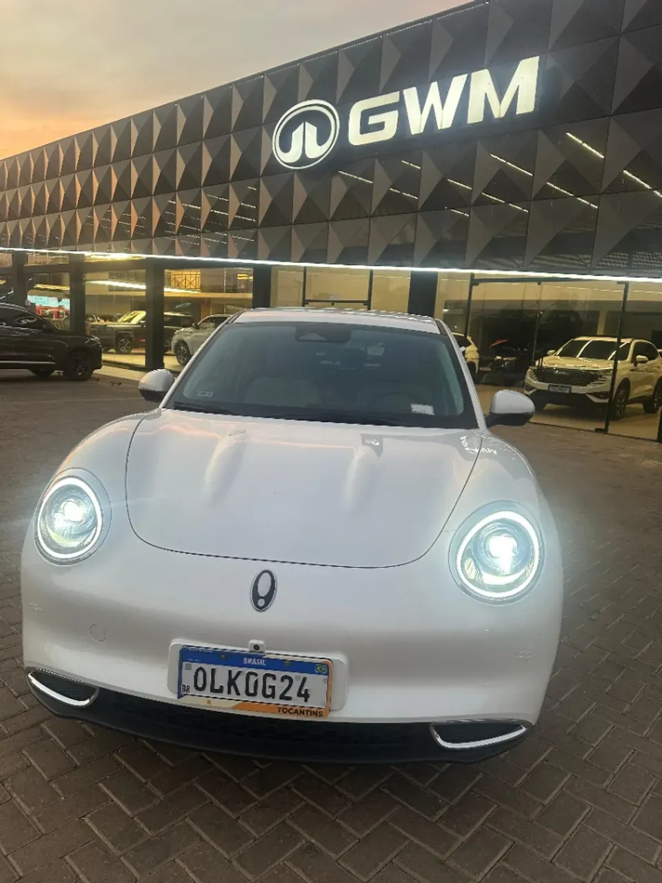 GWM Ora 03 - Imagem 3