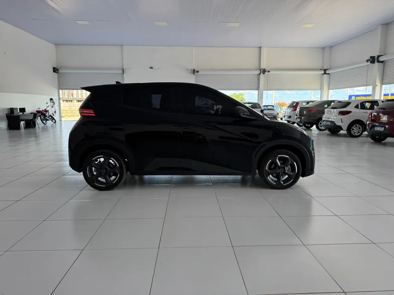 Foto de um byd dolphin mini