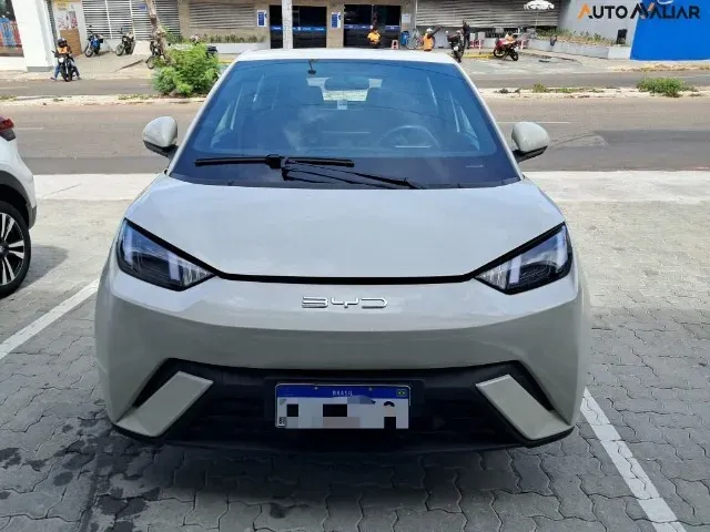 BYD Dolphin Mini - Imagem 2
