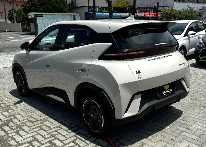 BYD Dolphin Mini - Imagem 6