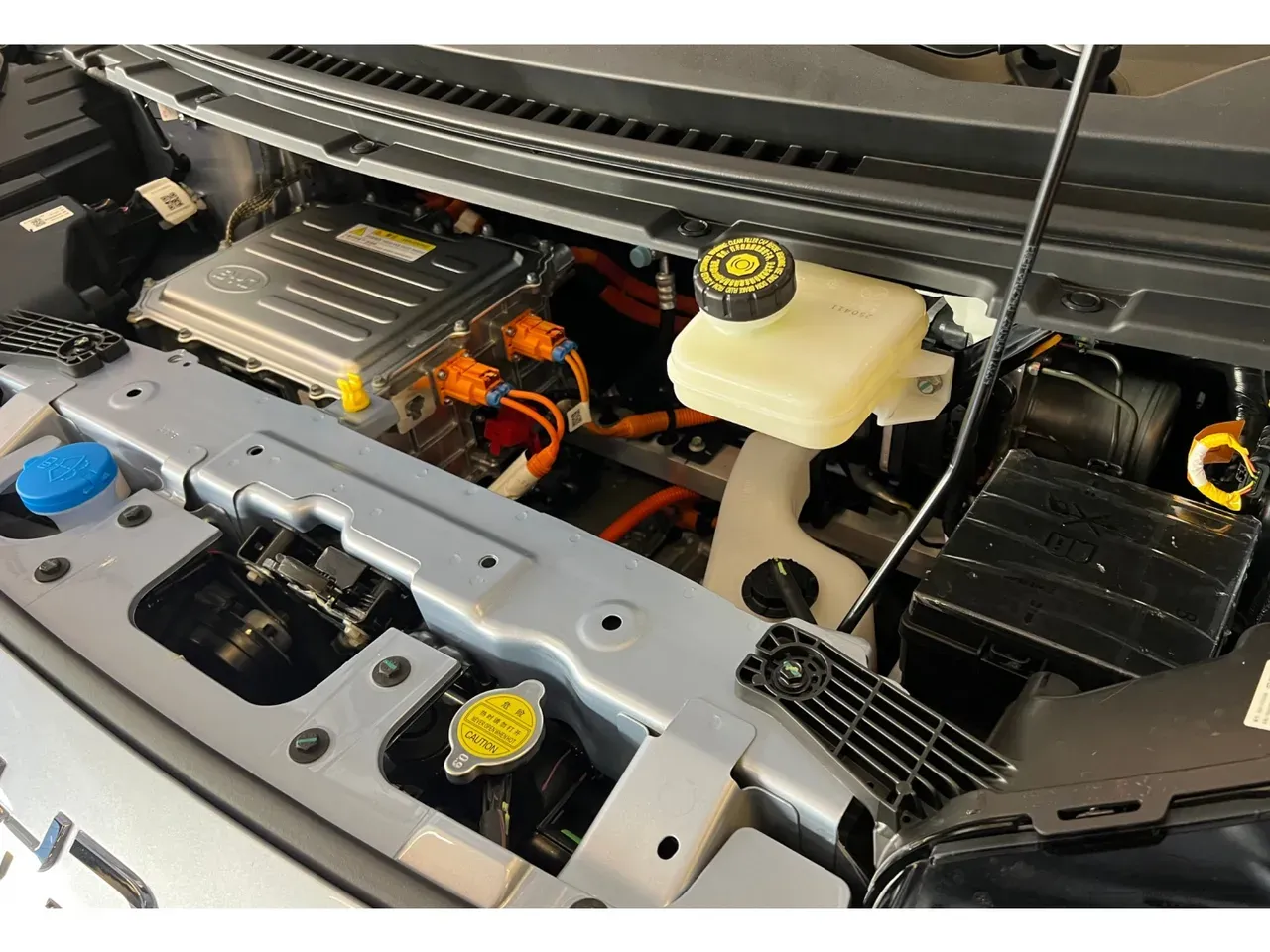 BYD Dolphin Mini - Imagem 6