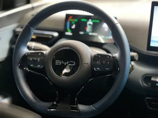 BYD Dolphin Mini - Imagem 9