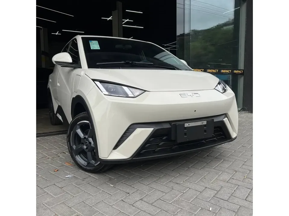 Foto de um byd dolphin mini