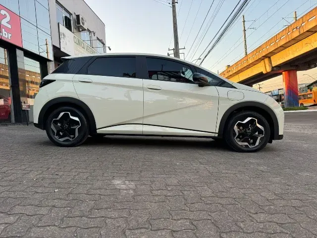 Foto de um byd dolphin