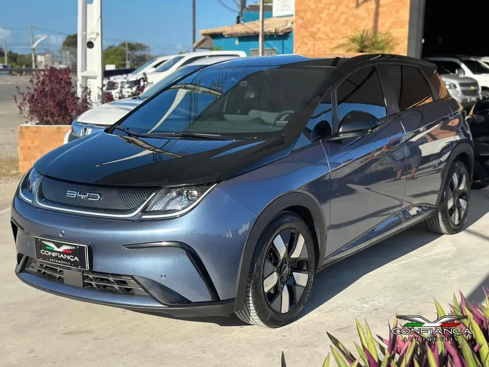 Foto de um byd dolphin