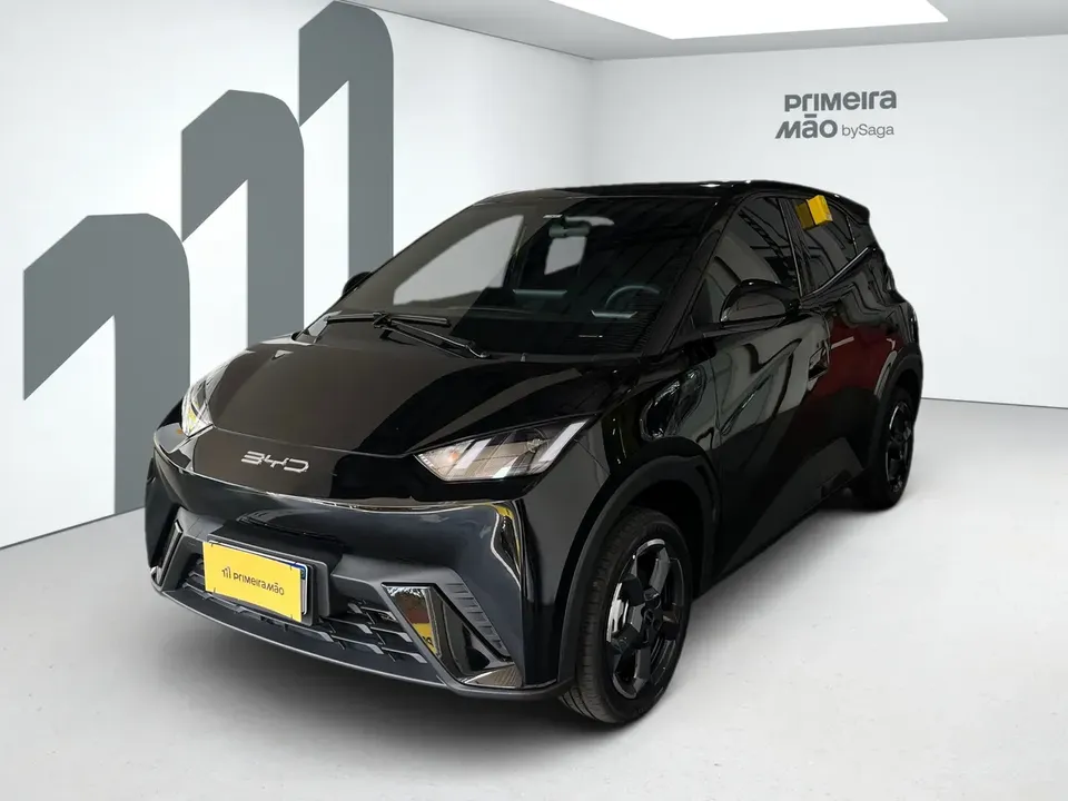 Foto de um byd dolphin