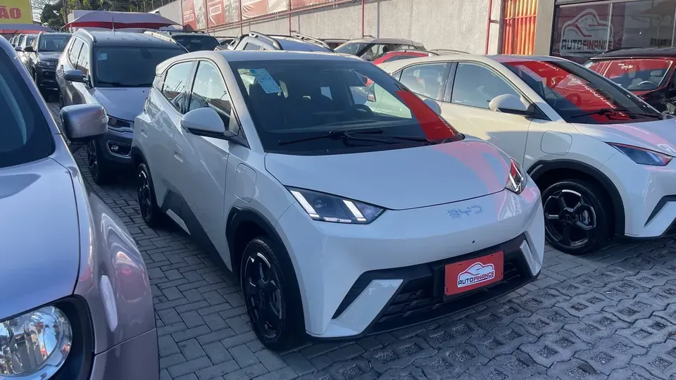 Foto de um byd dolphin mini