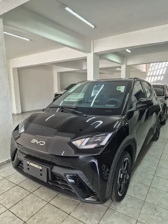 Foto de um byd dolphin mini