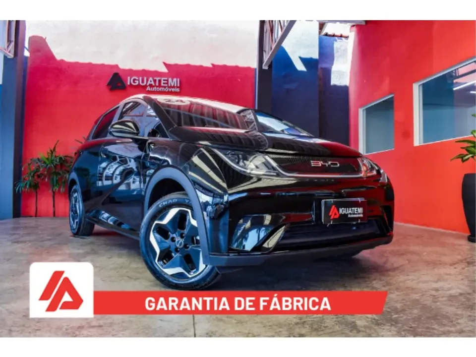Foto de um byd dolphin