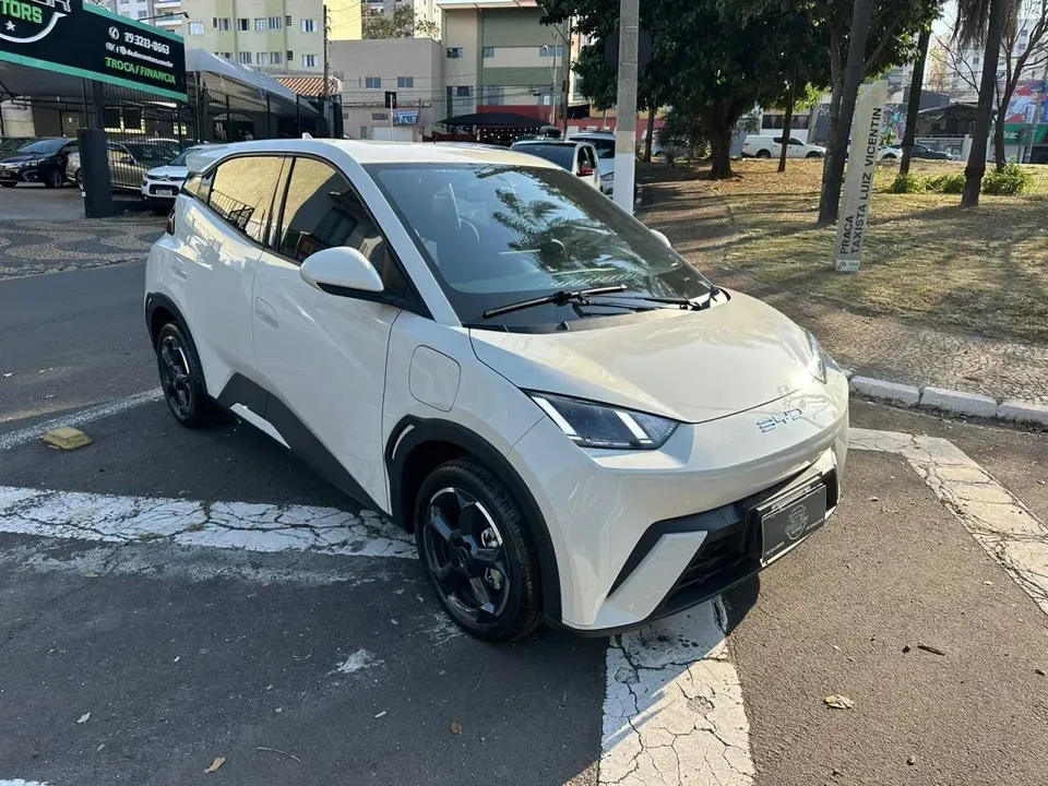 Foto de um byd dolphin mini