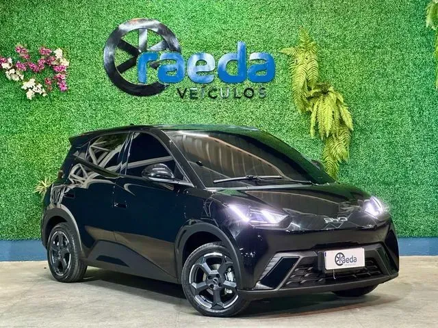 Foto de um byd dolphin mini