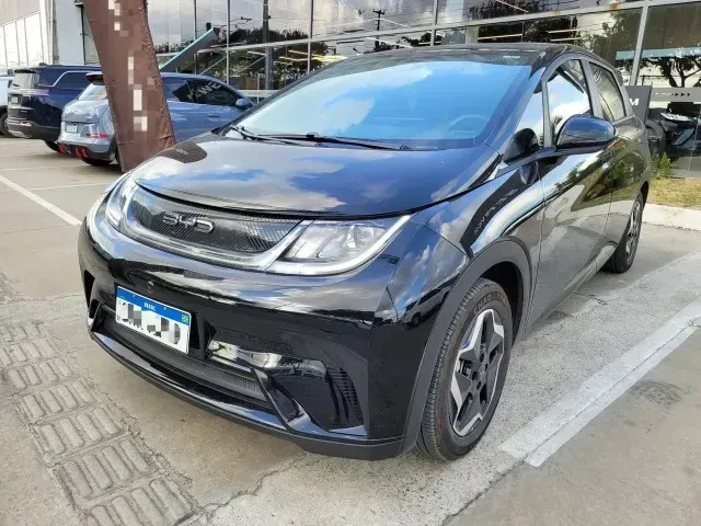 Foto de um byd dolphin