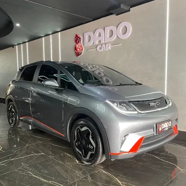 Foto de um byd dolphin
