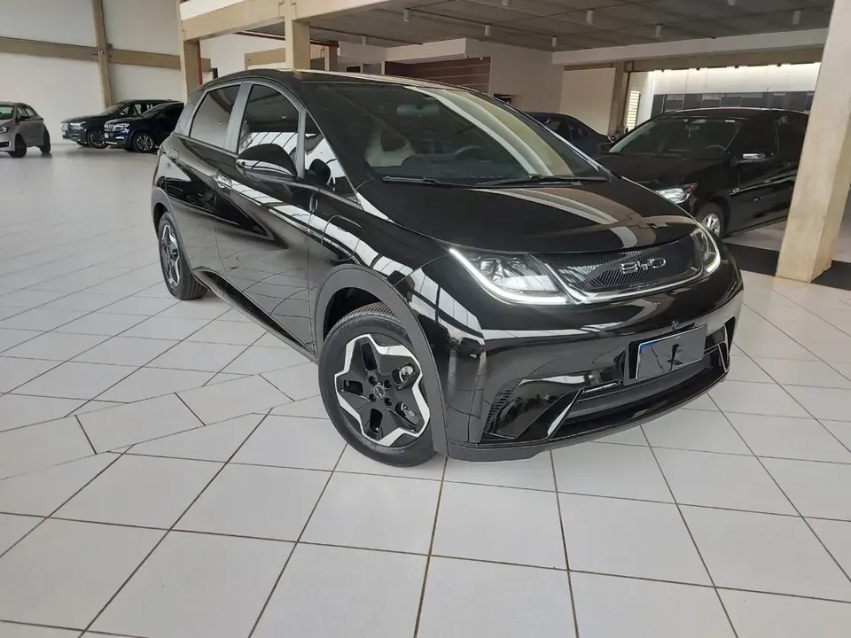 Foto de um byd dolphin