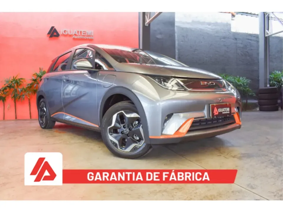 Foto de um byd dolphin