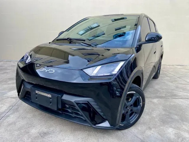 Foto de um byd dolphin mini