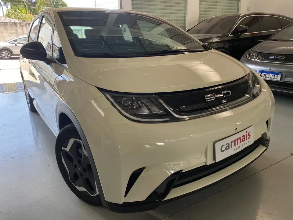Foto de um byd dolphin