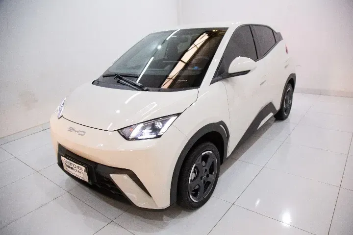 Foto de um byd dolphin