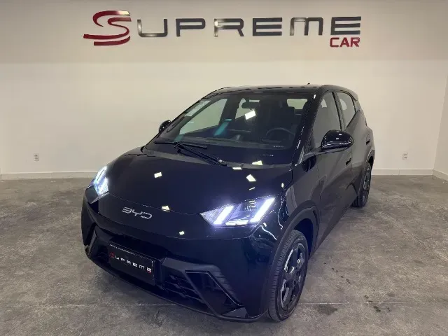 Foto de um byd dolphin mini