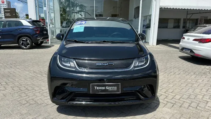 Foto de um byd dolphin
