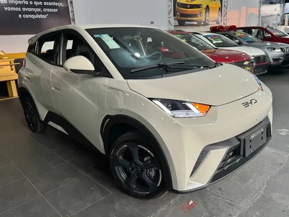 Foto de um byd dolphin mini
