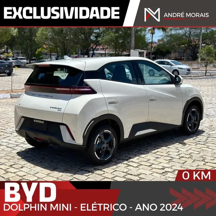 Foto de um byd dolphin