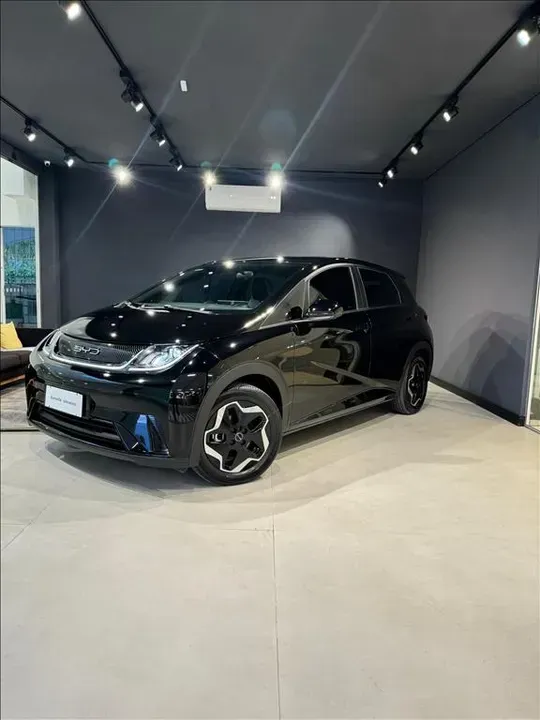Foto de um byd dolphin
