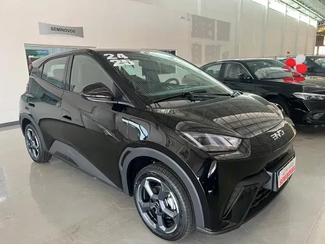 Foto de um byd dolphin mini