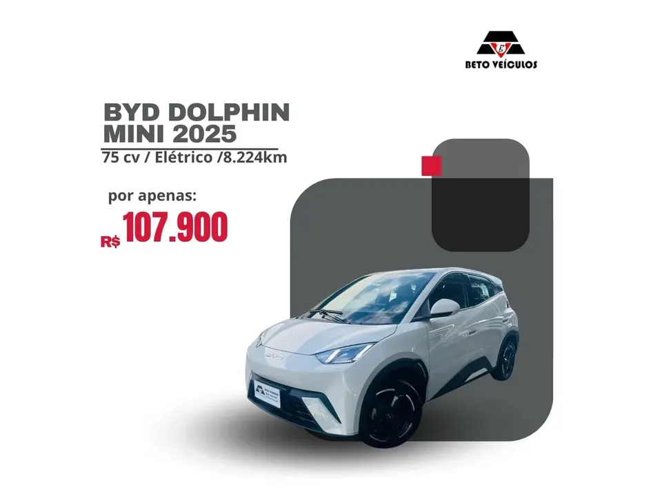 Foto de um byd dolphin mini