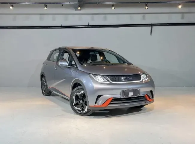 Foto de um byd dolphin