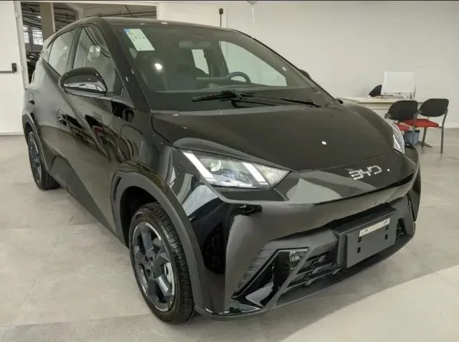 Foto de um byd dolphin