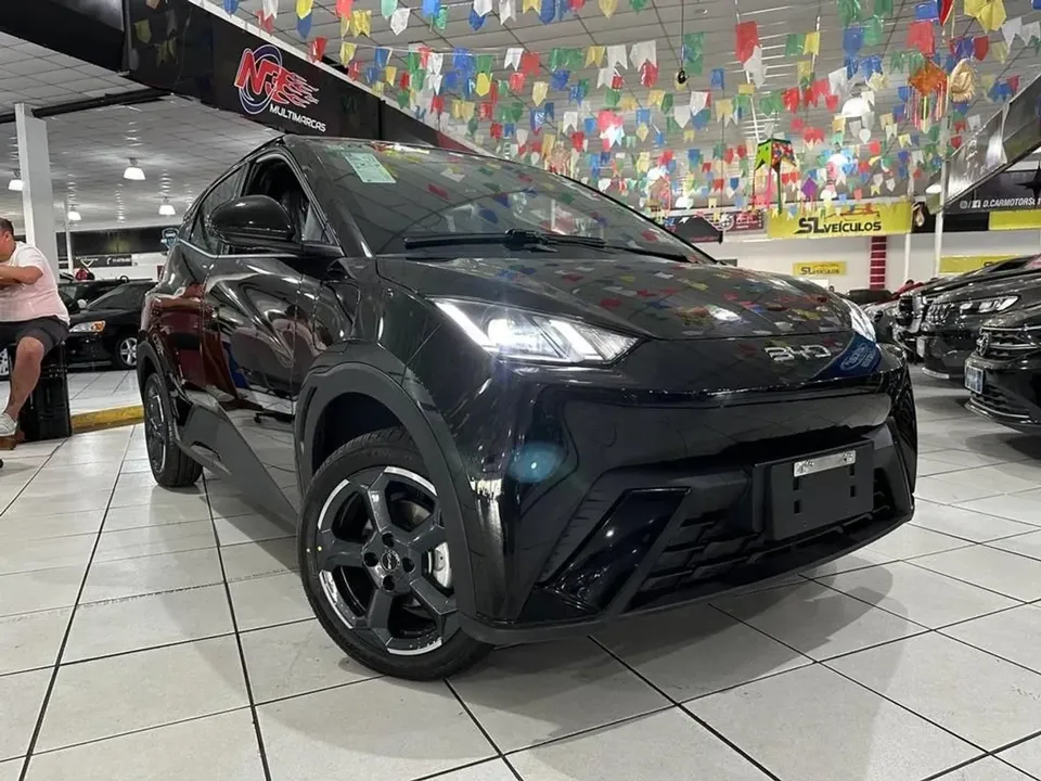 Foto de um byd dolphin mini