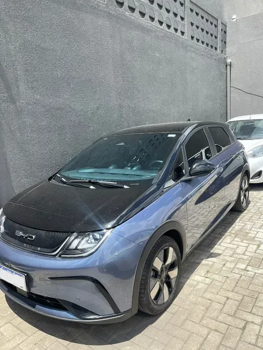 Foto de um byd dolphin