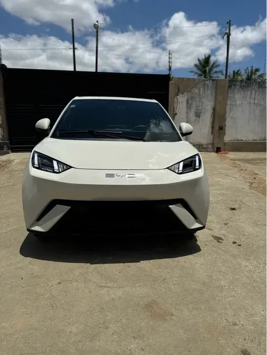 Foto de um byd dolphin